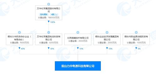 萬華化學(xué)進(jìn)軍新能源領(lǐng)域 煙臺(tái)投資2億元設(shè)立電源科技公司，賦能數(shù)字文創(chuàng)內(nèi)容應(yīng)用服務(wù)