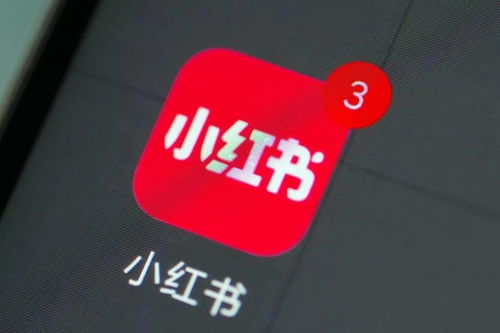 24小時內兩筆投資曝光 小紅書跨界布局數字文創，是“不務正業”還是謀篇“大棋”？